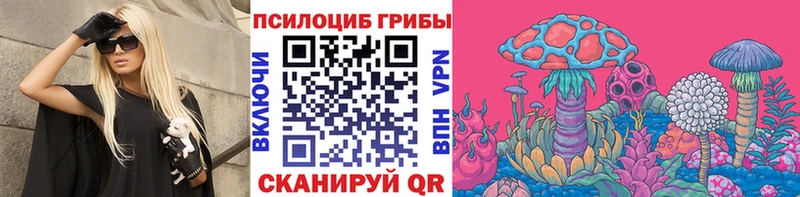 дарнет шоп  Талдом  Галлюциногенные грибы Psilocybe 
